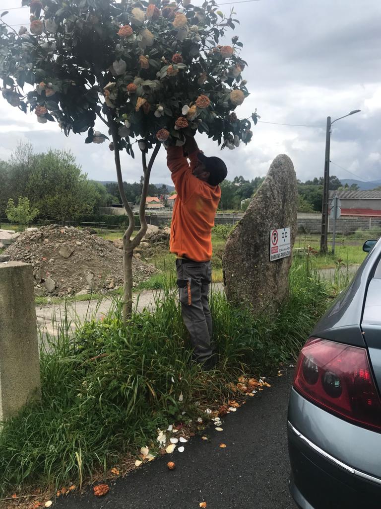 Excelentes Resultados Na Campa A De Trampeo Contra A Vespa Velutina No